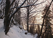 51 bello scendere nel bosco innevato...